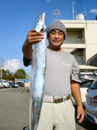 志村様　太刀魚